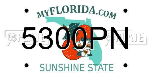 5300PN Florida License Plate