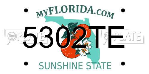 5302TE Florida License Plate