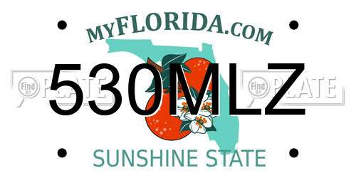 530MLZ Florida License Plate