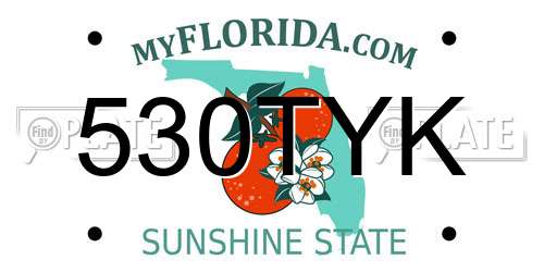 530TYK Florida License Plate