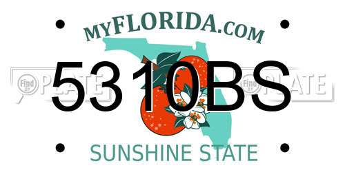 5310BS Florida License Plate