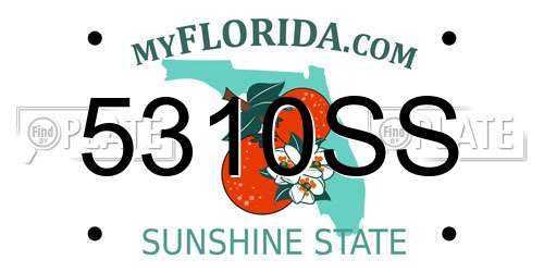 5310SS Florida License Plate