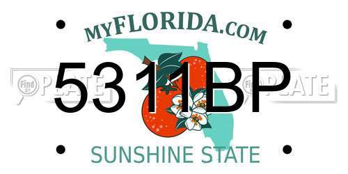 5311BP Florida License Plate