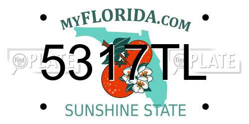 5317TL Florida License Plate