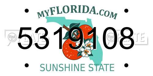 5319108 Florida License Plate