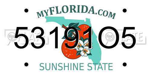 53191O5 Florida License Plate