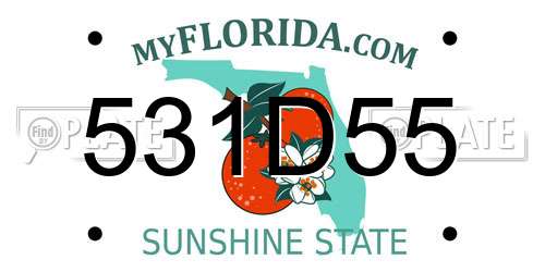 531D55 Florida License Plate