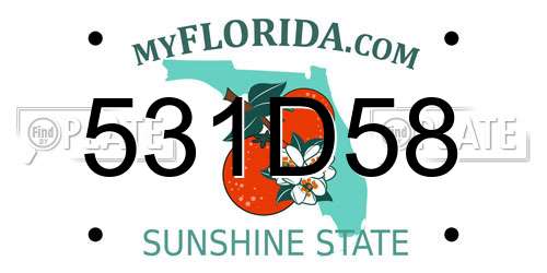 531D58 Florida License Plate