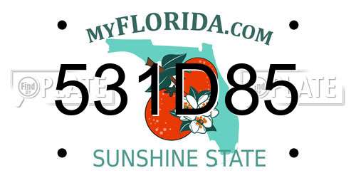 531D85 Florida License Plate