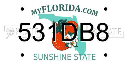 531DB8 Florida License Plate
