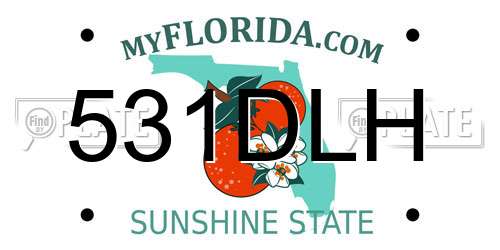 531DLH Florida License Plate