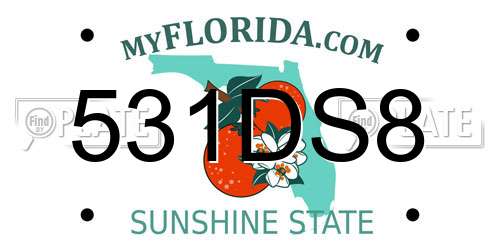 531DS8 Florida License Plate