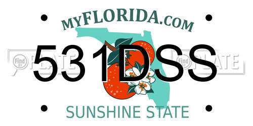 531DSS Florida License Plate