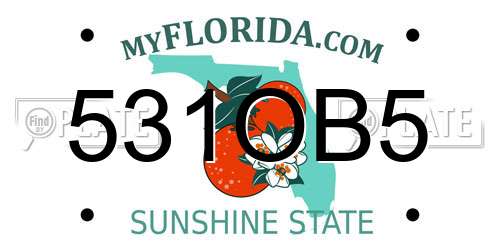 531OB5 Florida License Plate