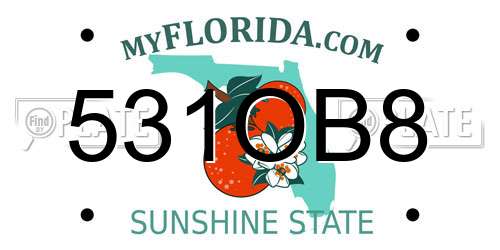 531OB8 Florida License Plate