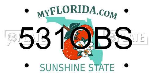 531OBS Florida License Plate
