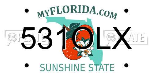 531OLX Florida License Plate