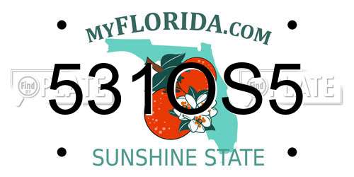 531OS5 Florida License Plate