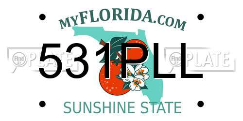 531PLL Florida License Plate
