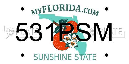 531PSM Florida License Plate