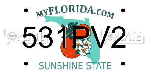 531PV2 Florida License Plate