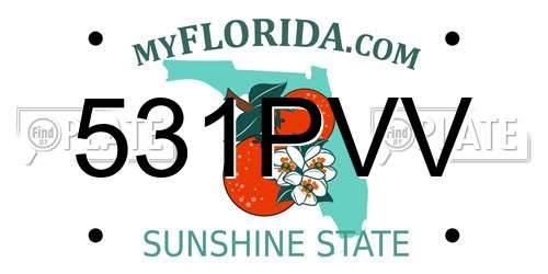 531PVV Florida License Plate