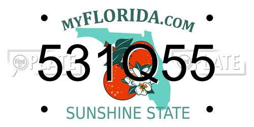 531Q55 Florida License Plate