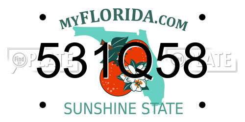 531Q58 Florida License Plate