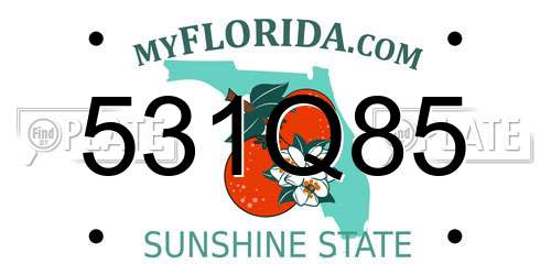 531Q85 Florida License Plate