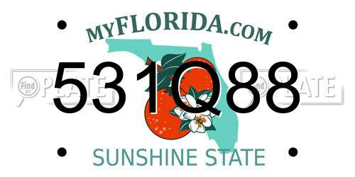 531Q88 Florida License Plate