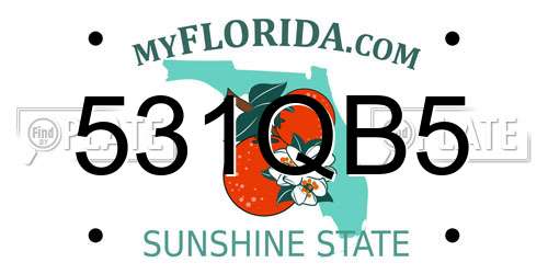 531QB5 Florida License Plate
