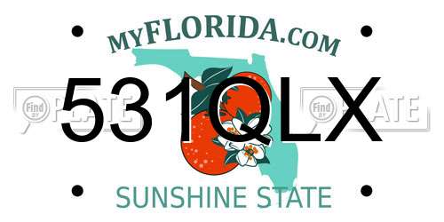 531QLX Florida License Plate