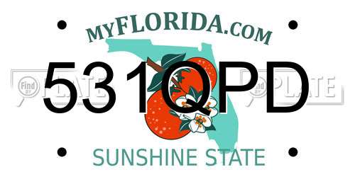 531QPD Florida License Plate