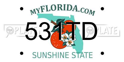 531TD Florida License Plate