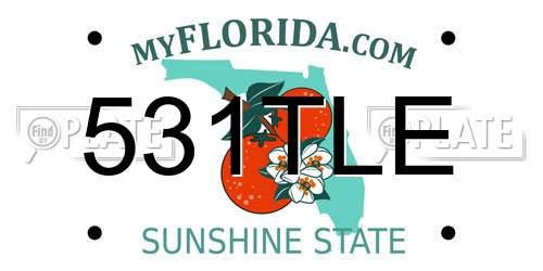 531TLE Florida License Plate