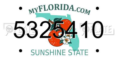5325410 Florida License Plate