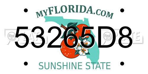 53265D8 Florida License Plate