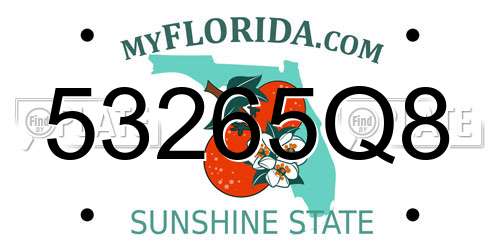53265Q8 Florida License Plate