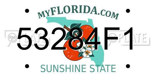53284F1 Florida License Plate