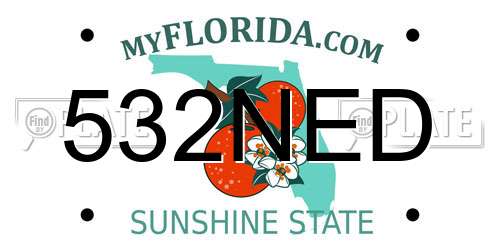 532NED Florida License Plate