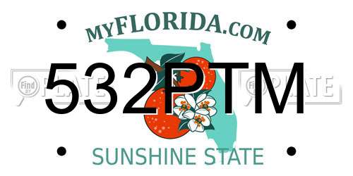 532PTM Florida License Plate