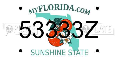 53333Z Florida License Plate