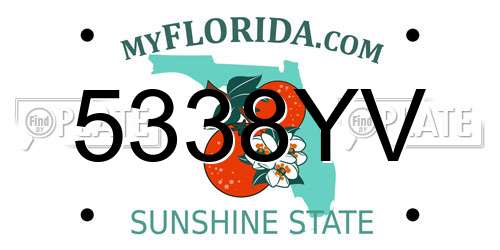 5338YV Florida License Plate
