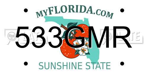 533GMR Florida License Plate