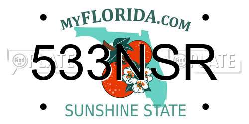 533NSR Florida License Plate