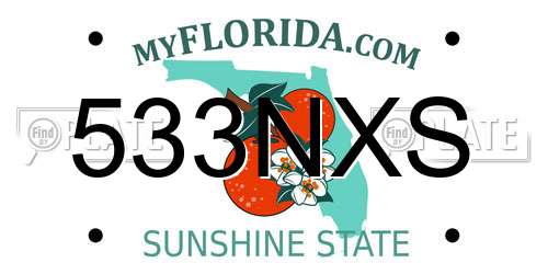 533NXS Florida License Plate