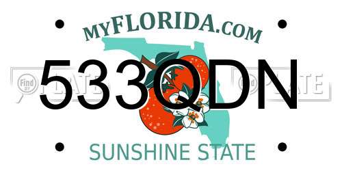 533QDN Florida License Plate