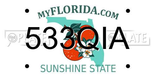 533QIA Florida License Plate