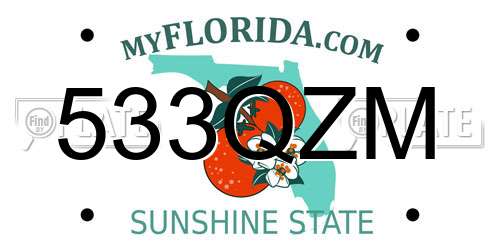 533QZM Florida License Plate