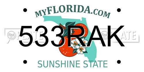 533RAK Florida License Plate